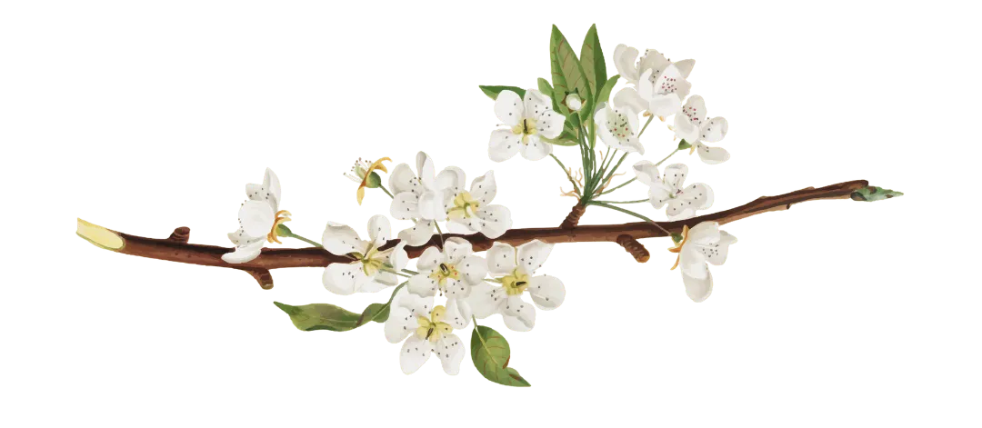 Decorative Flower